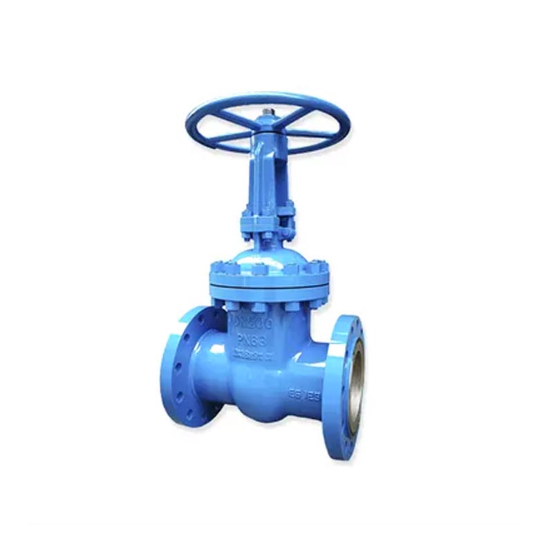 GS-C25 WCB Flanged Gate Valve PN16 DIN
