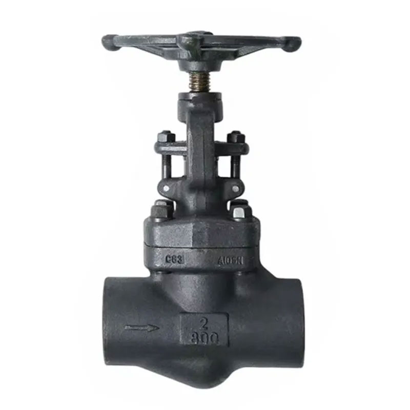 API 602スレッドエンドForged Globe Valve Class 800